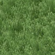 photoshop grass,photoshop tutorial,grass texture,grassy texture,ground texture,textures,green texture,create textures,texture tutorial Grass Textures in Photoshop using Filters