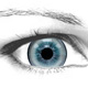 flash tutorials, animated eyes, follow mouse, interactivity,eyes in flash,eyes that follow,eye tracking,animate eyes,photos of eyes,womans eyes Realistic Eye Animation